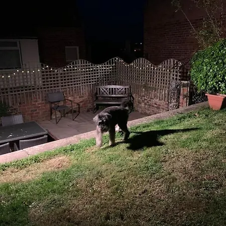 بيت للعطل Award Winning Pet Friendly Paddock