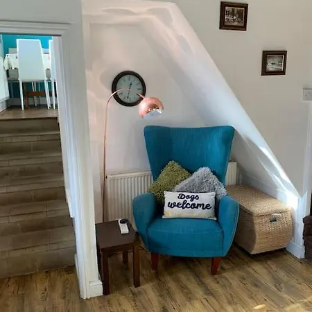 Award Winning Pet Friendly Paddock