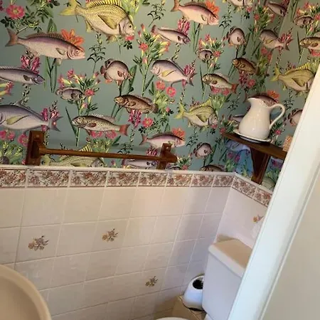 Award Winning Pet Friendly Paddock بيت للعطل *