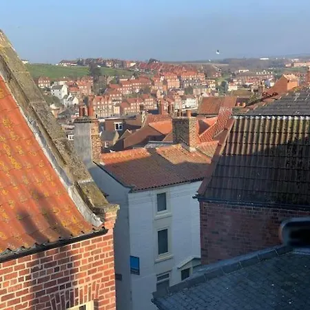 Award Winning Pet Friendly Paddock Whitby
