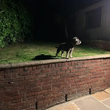 Award Winning Pet Friendly Paddock * 惠特比