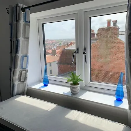 Award Winning Pet Friendly Paddock * Whitby