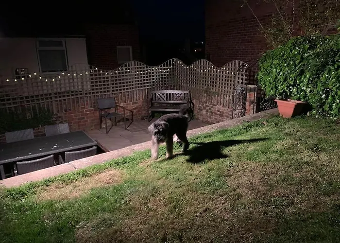 Holiday home Award Winning Pet Friendly Paddock