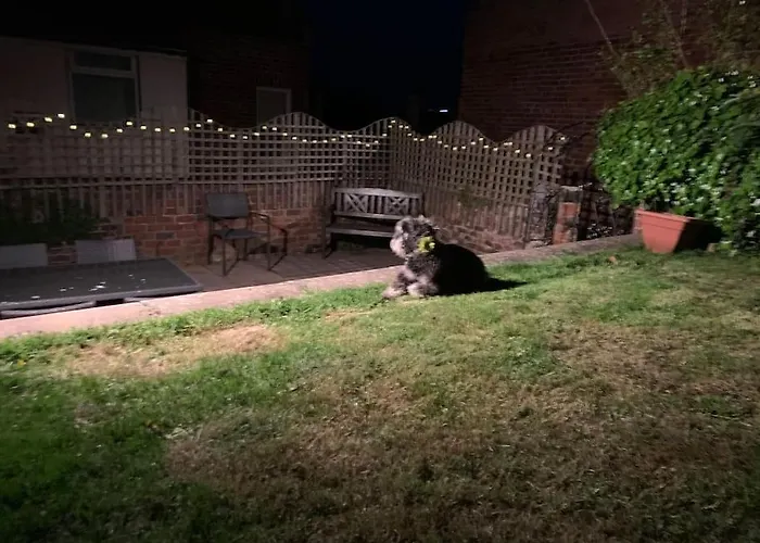 Holiday home Award Winning Pet Friendly Paddock