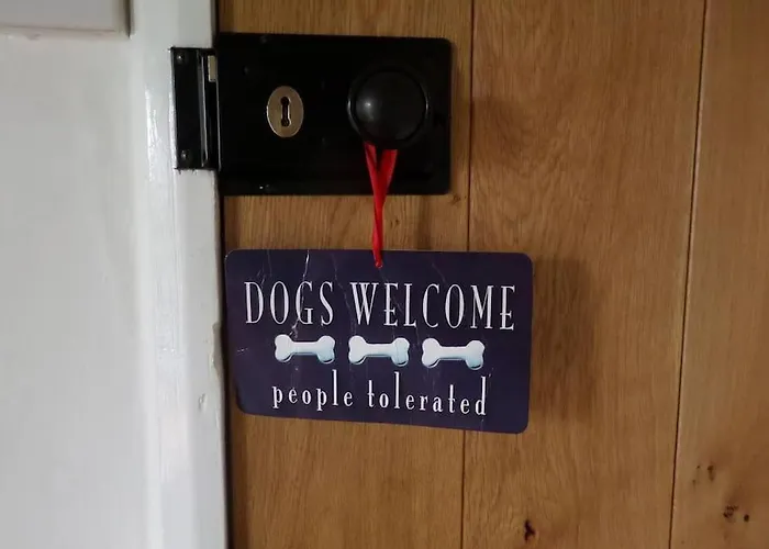 Award Winning Pet Friendly Paddock Holiday home