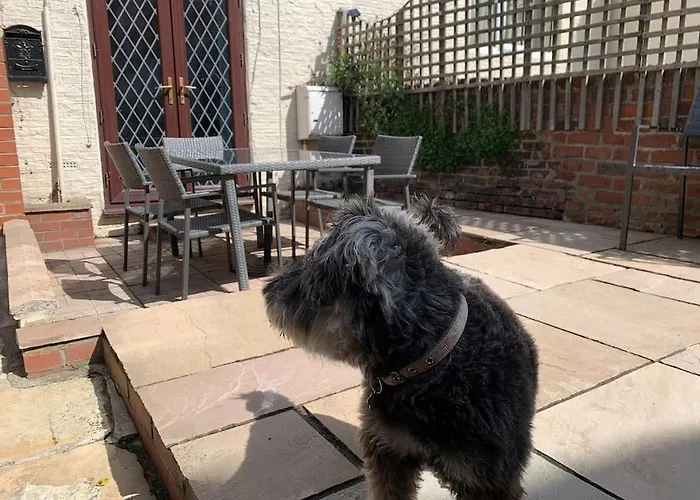 Holiday home Award Winning Pet Friendly Paddock *