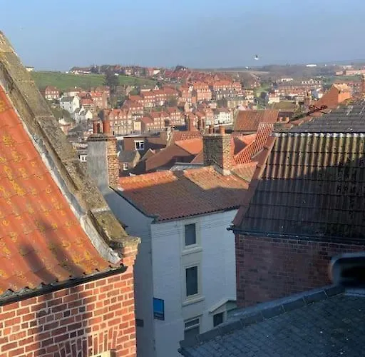 Award Winning Pet Friendly Paddock Whitby