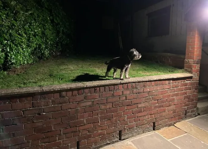 Award Winning Pet Friendly Paddock * Whitby