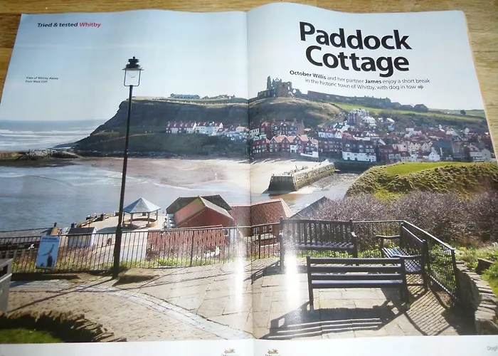 Award Winning Pet Friendly Paddock Holiday home *