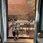 Tatil Evi Award Winning Pet Friendly Paddock *