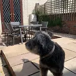 Tatil Evi Award Winning Pet Friendly Paddock *