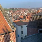 Award Winning Pet Friendly Paddock Whitby
